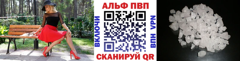 дарнет шоп  Сысерть  Alpha PVP СК 