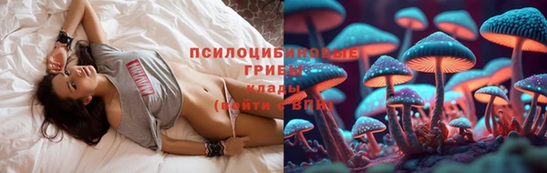 прущие грибы Алзамай