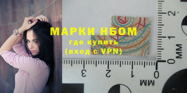 прущие грибы Алзамай