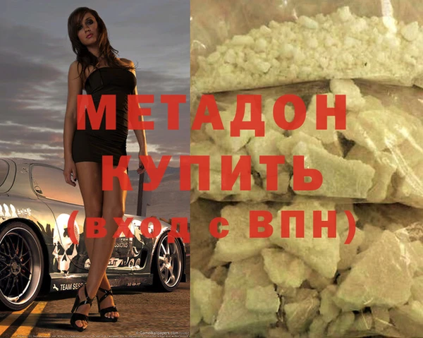 прущие грибы Алзамай