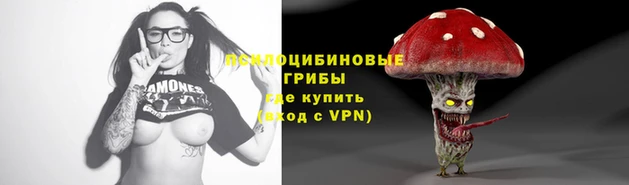марки lsd Абаза